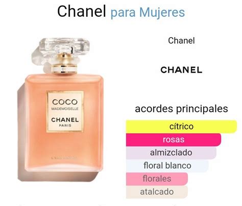 coco chanel notas olfativas|Chanel coco fragrance.